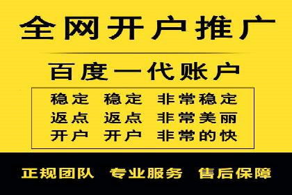 百度推广运营策略案例：品牌提升的捷径